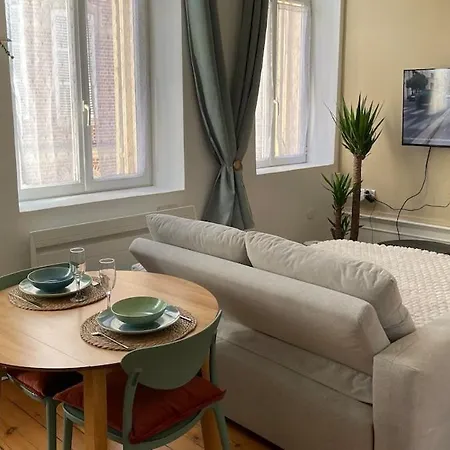 Daire L'alexandrine, Cozy Cocoon In Downtown Amiens