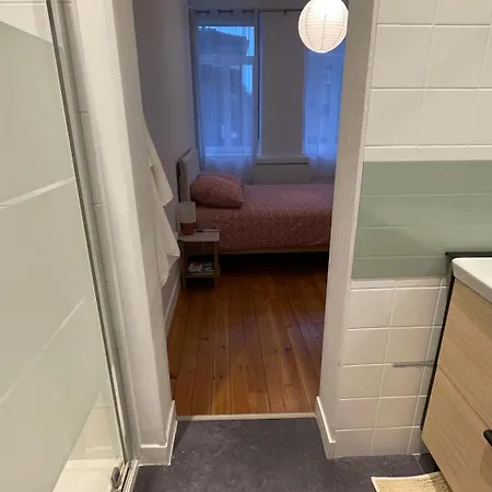 Apartment L'alexandrine, Cozy Cocoon In Downtown