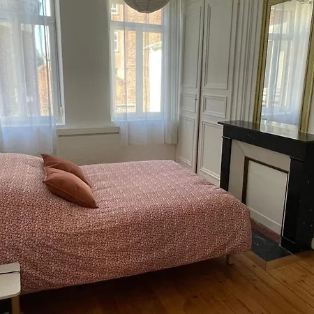 Daire L'alexandrine, Cozy Cocoon In Downtown Amiens
